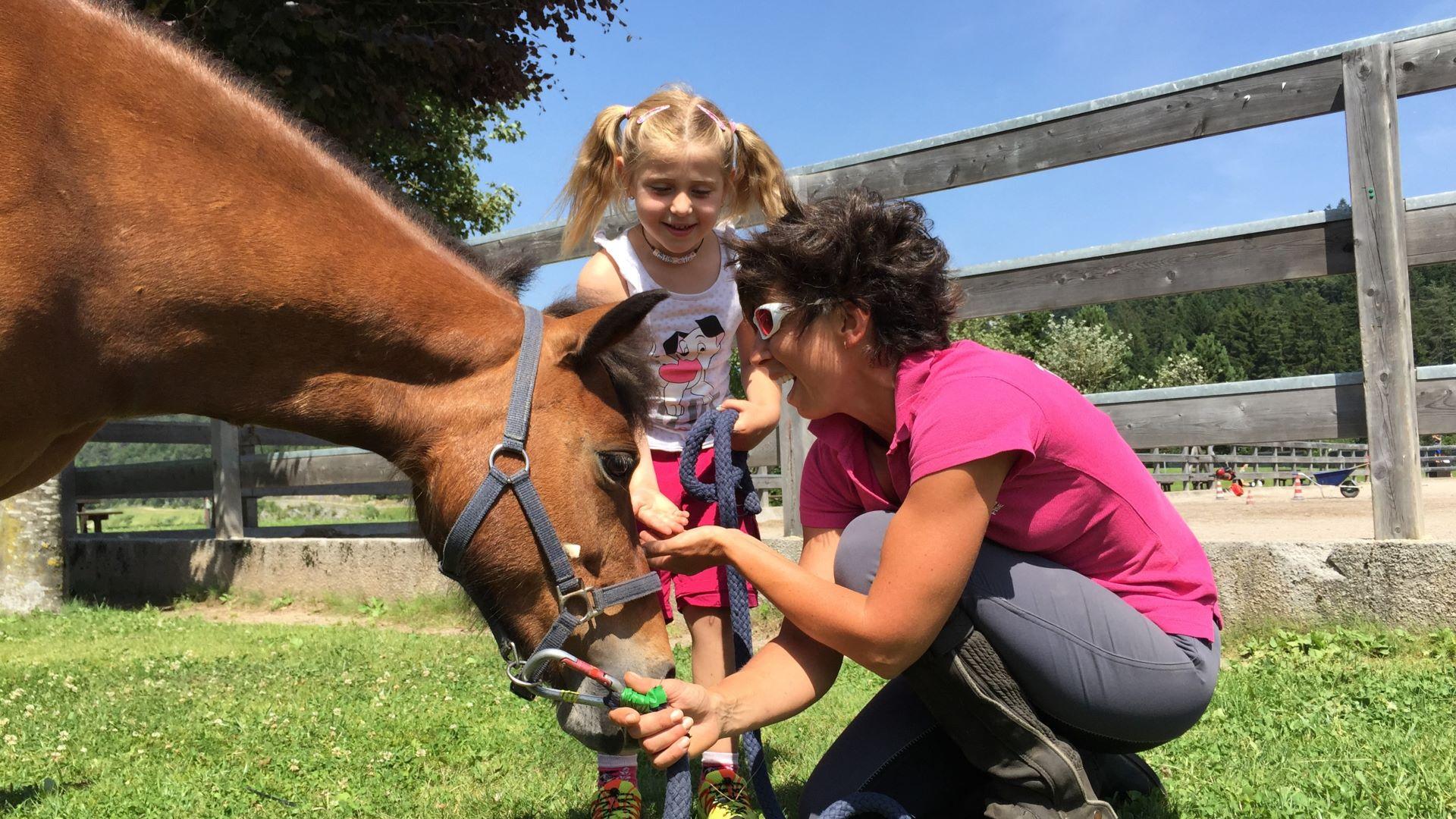 Andalo Life - Vacanze in Trentino in famiglia