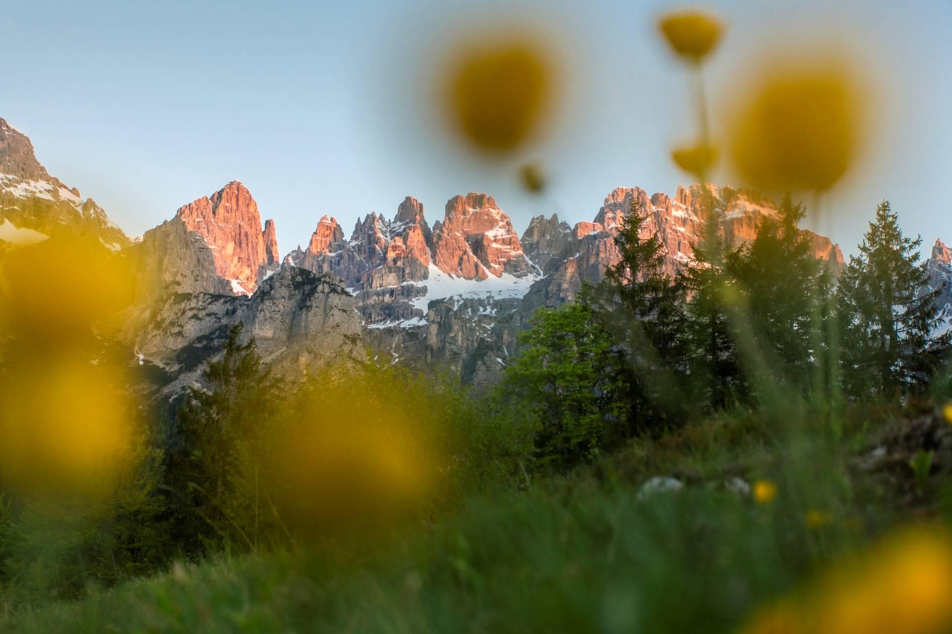 Dolomiti di Brenta