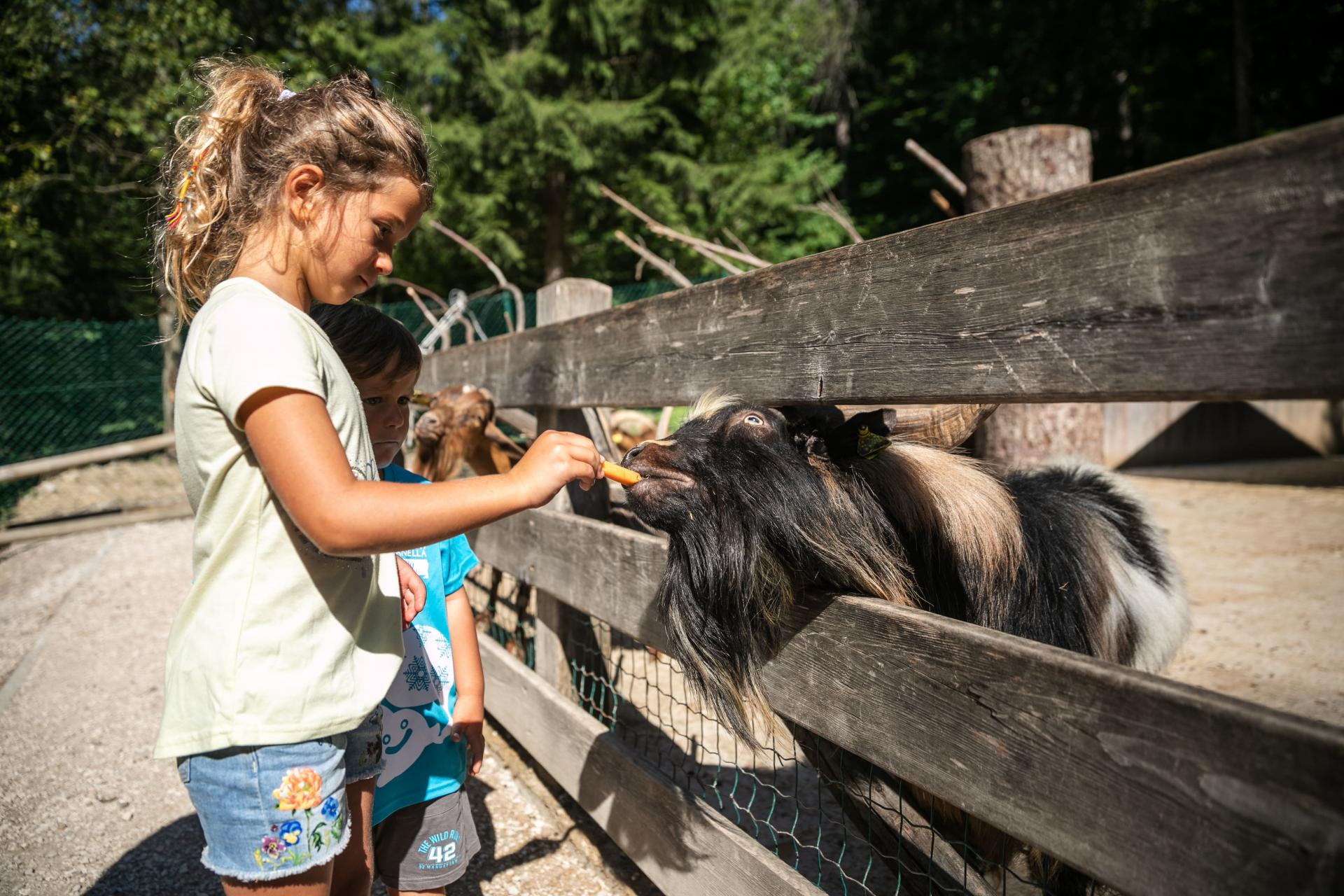 Family Parco Faunistico Belpark Spormaggiore Estate DP 2019 ph Oliver Astrologo 1 -min