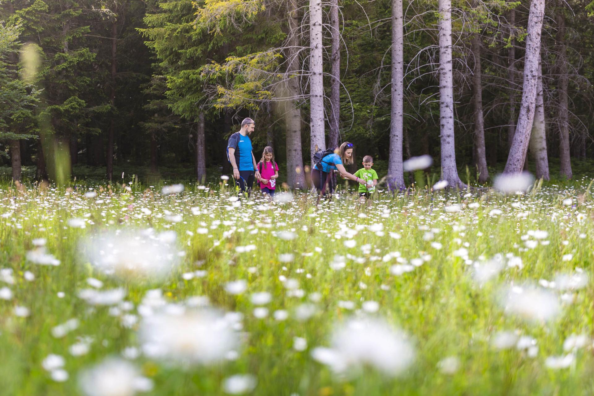 Family Trekking estate 2019 ph Filippo Frizzera 19 -min