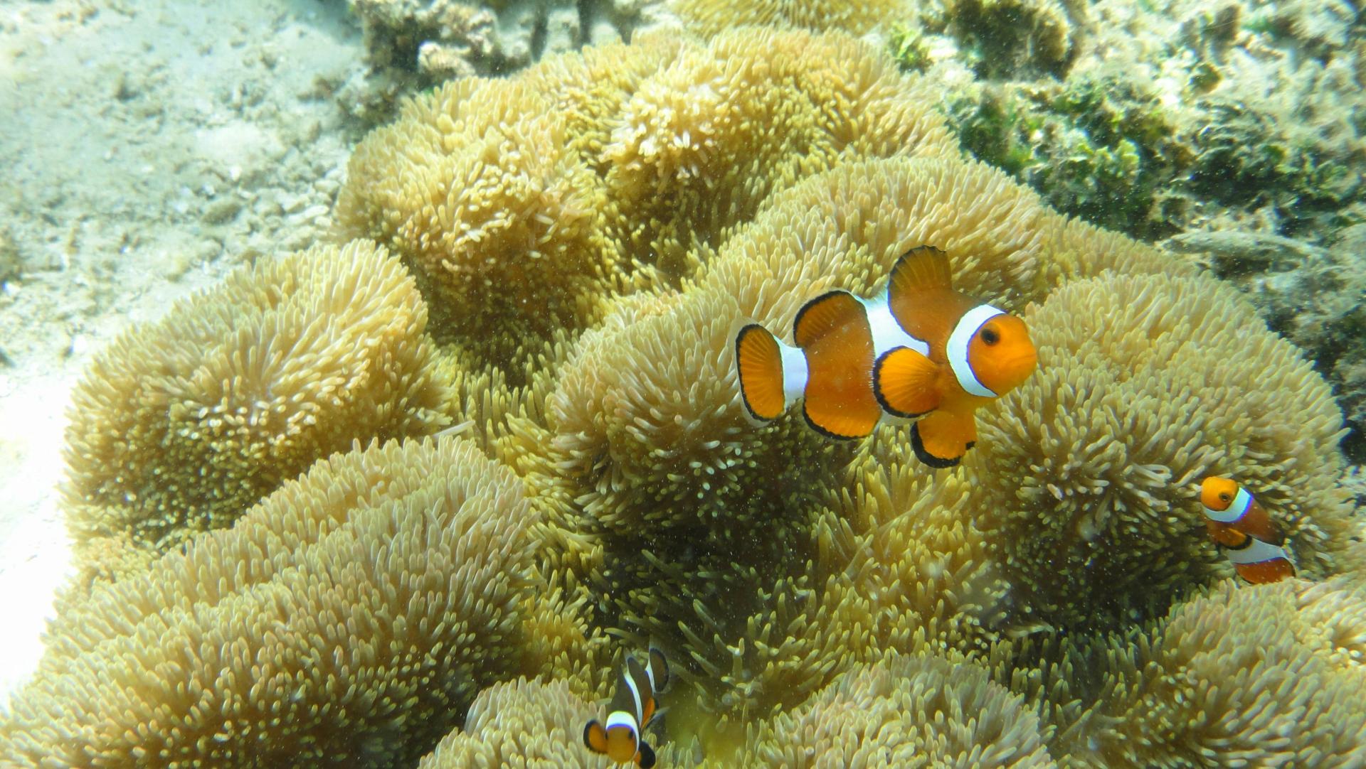 Un mare di avventure Un mare di avventure