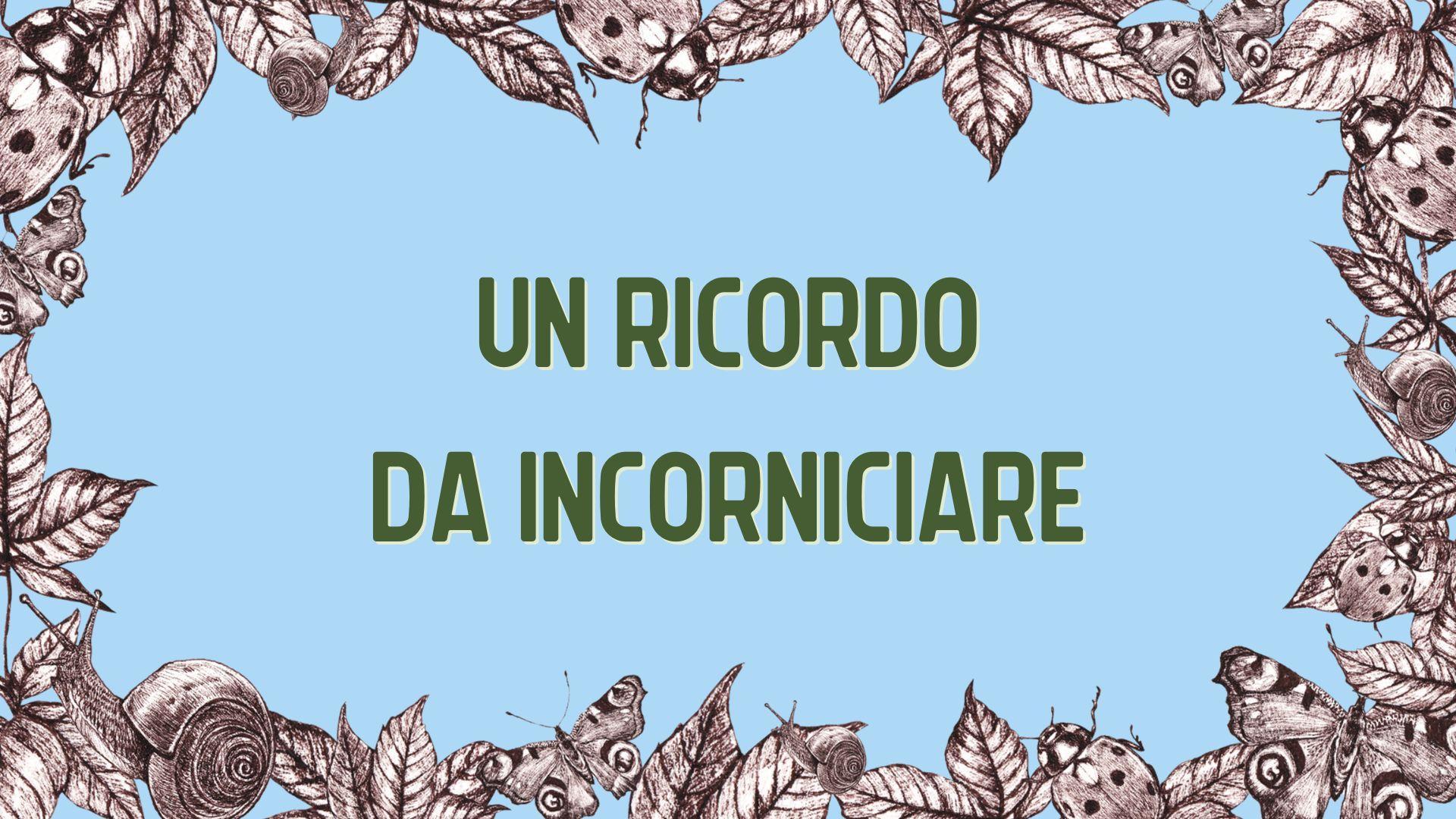 Biblioigloo venerdì incornicia un ricordo (2)