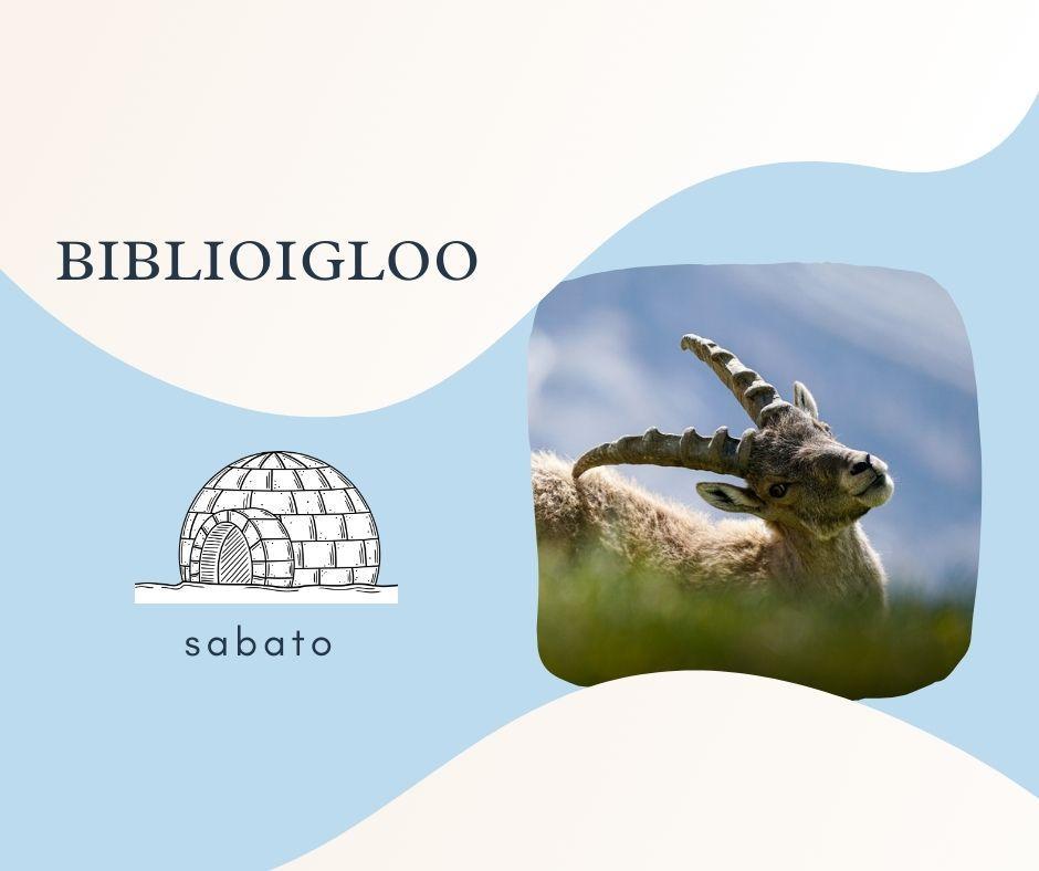 Biblioigloo sabato