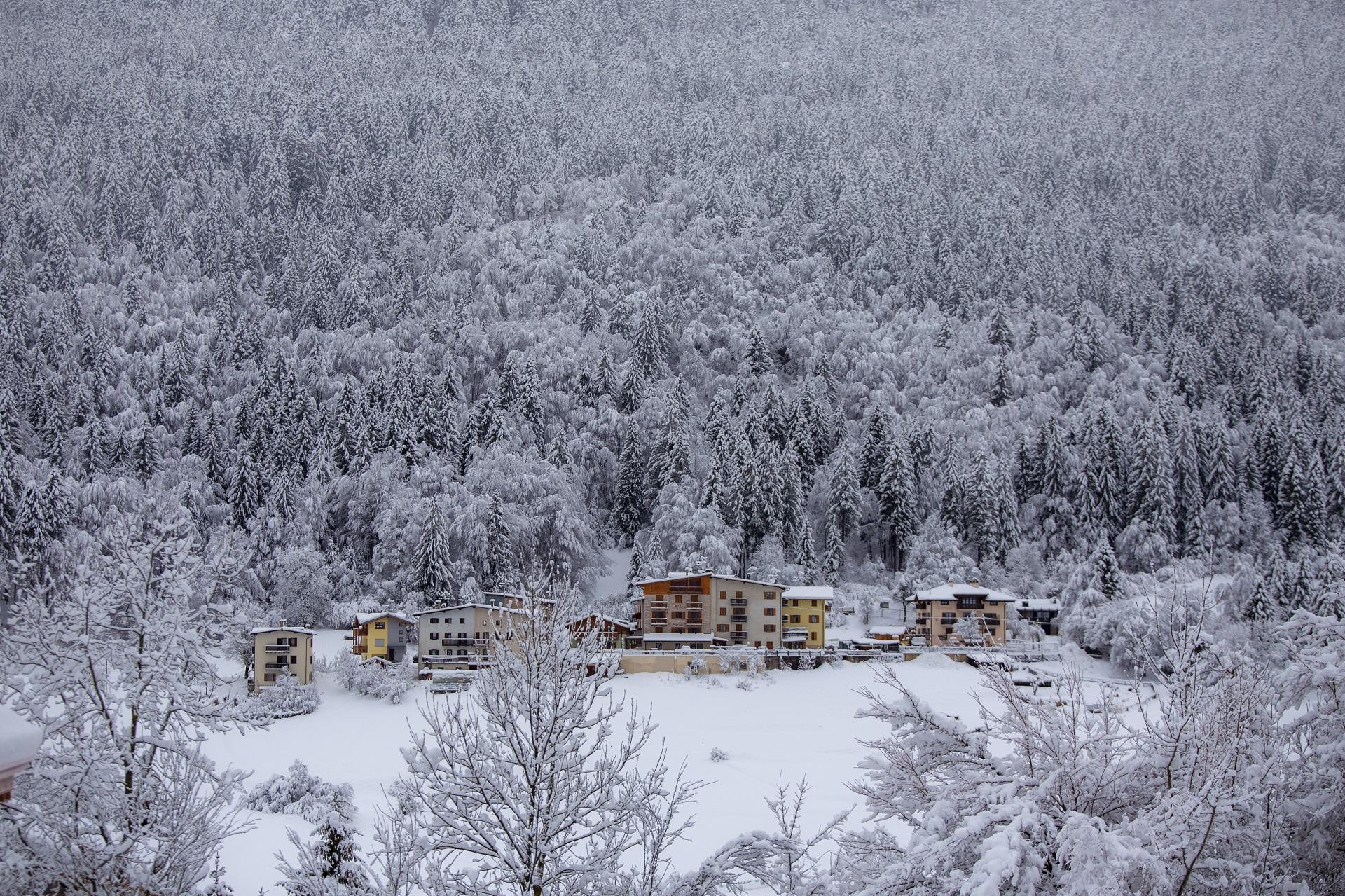 Andalo_maso Pegorar_Inverno 2017_18_Ph_Frizzera  (
