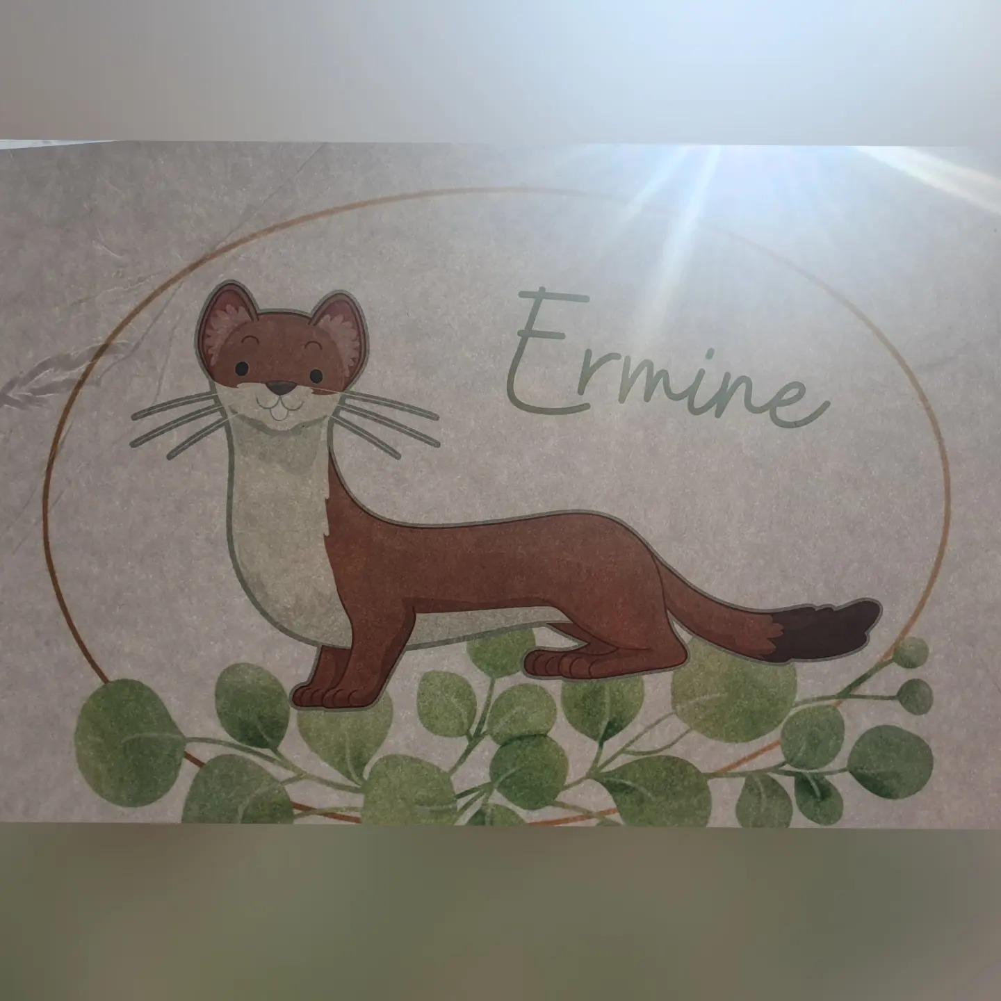 Biblioigloo Ermine
