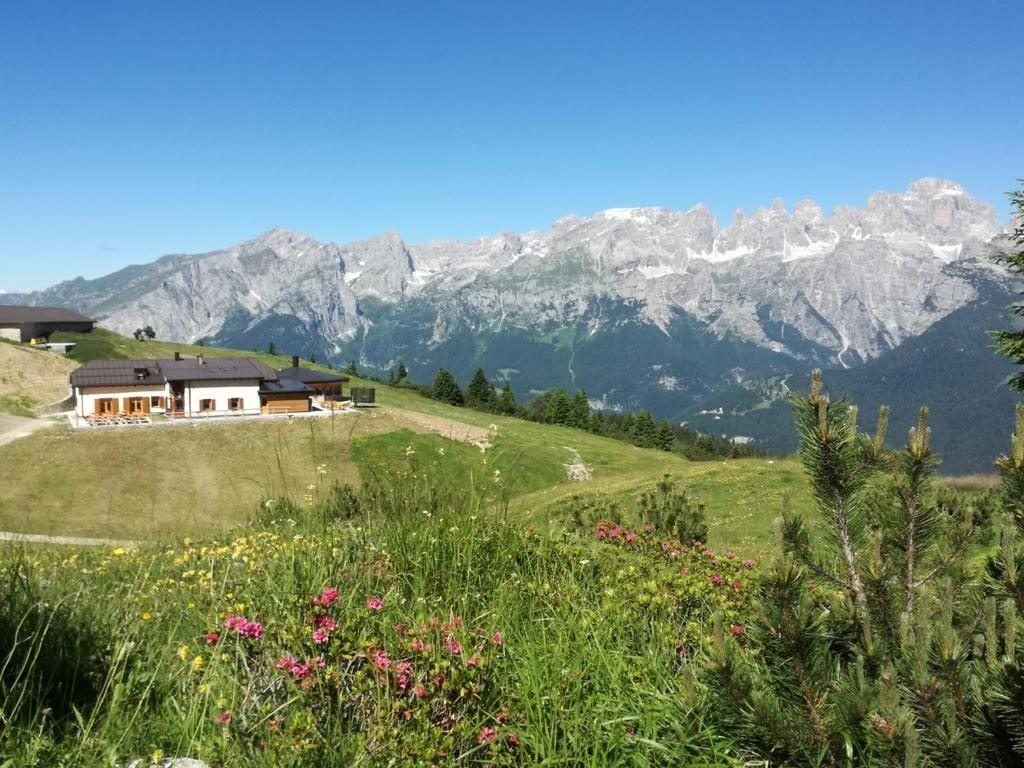 Malga_Terlago_Paganella_Montagna_Andalo (1)