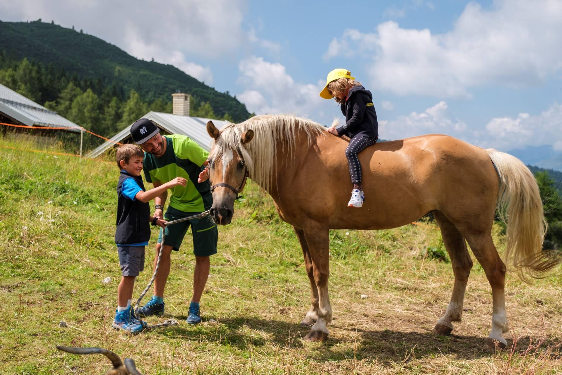 Malghe per bambini ad Andalo