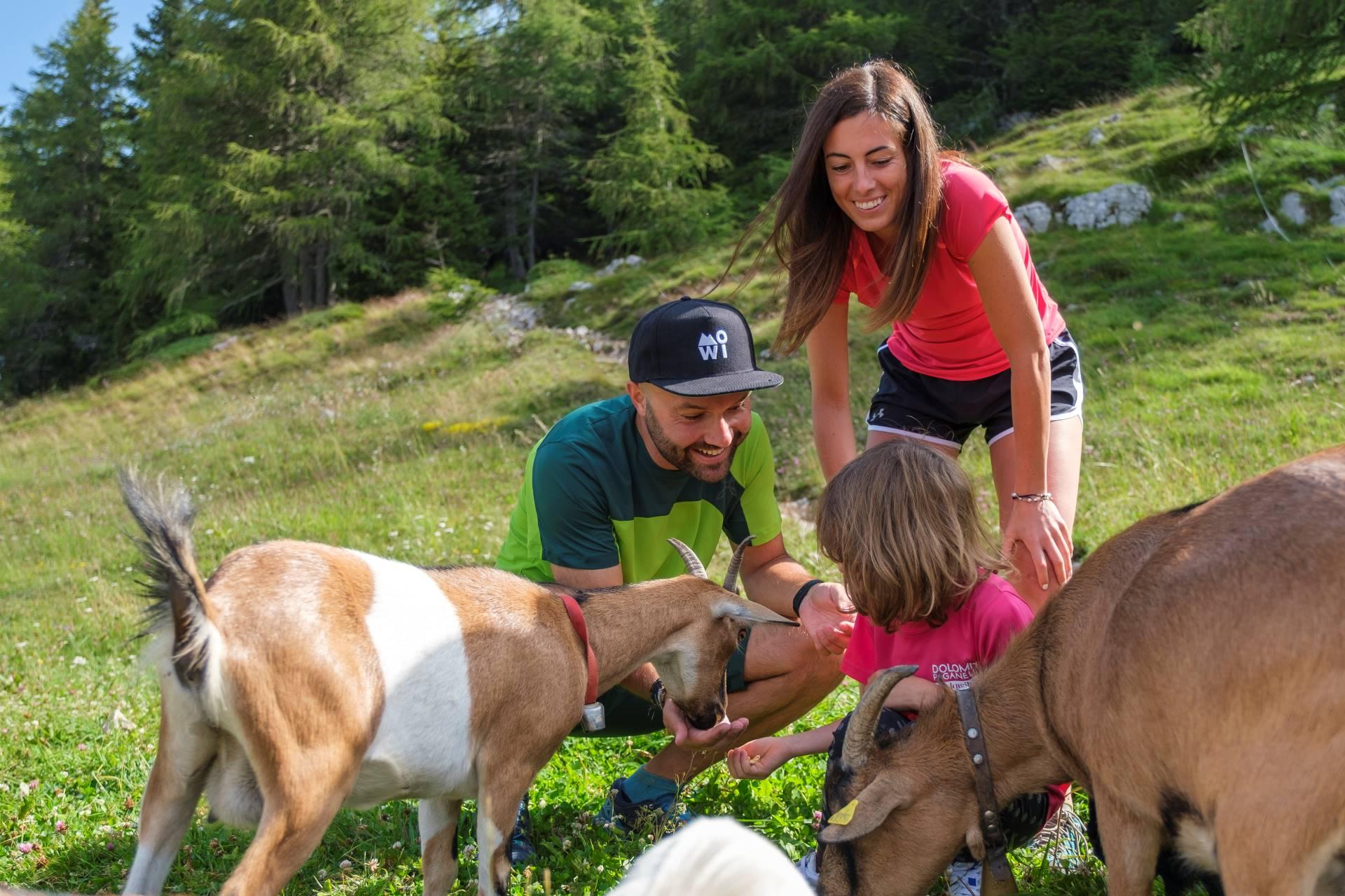 Vacanza in montagna con bambini in estate